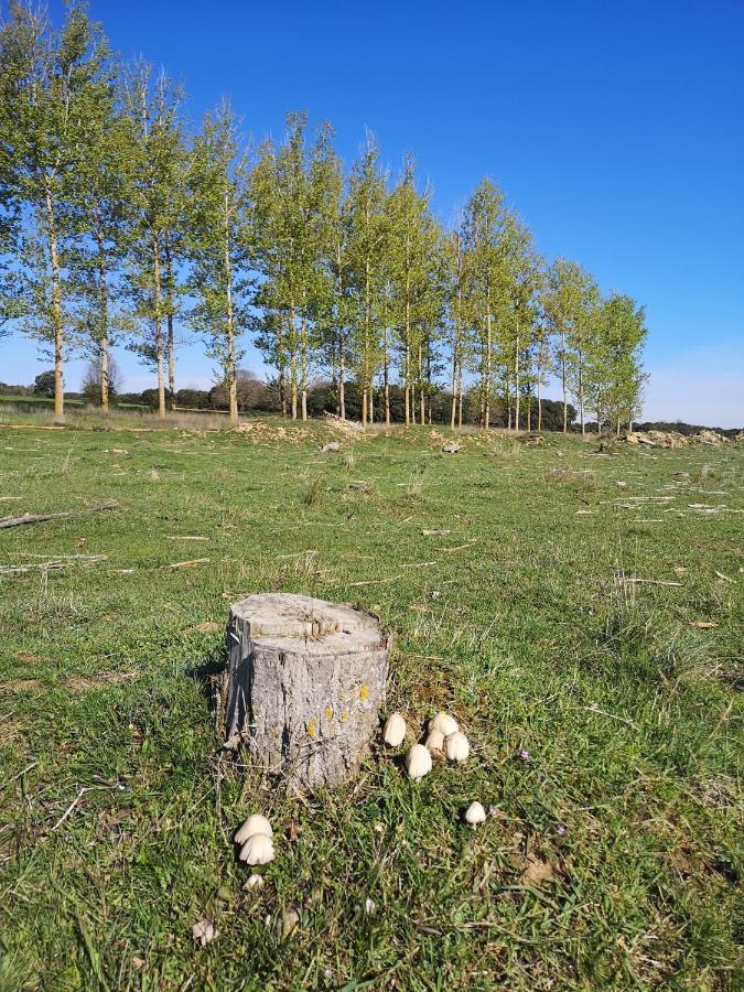 L' Abilleiru Albergue Rural Santibanez de Valdeiglesias 外观 照片